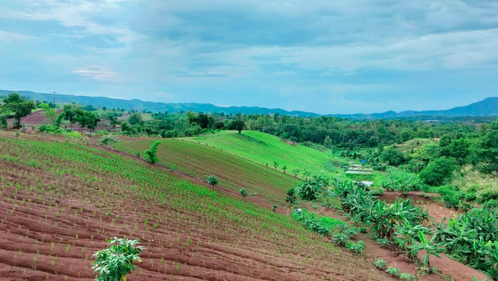 فندق Smile Farm At Khaokho Ban Thung Samo المظهر الخارجي الصورة