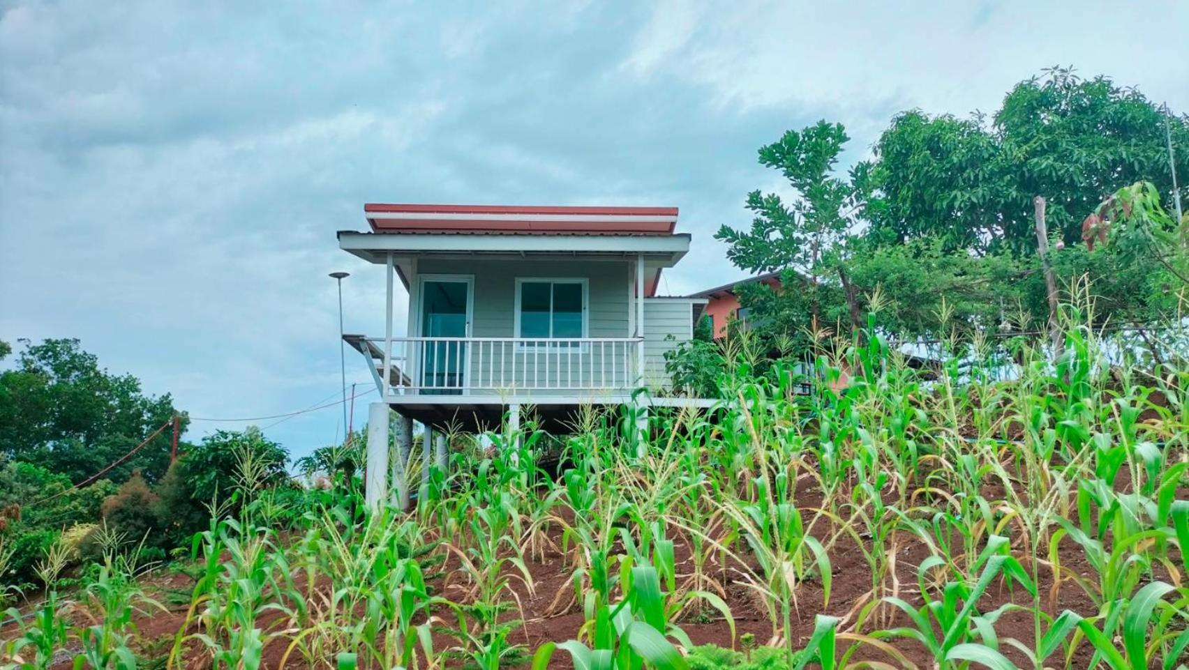 فندق Smile Farm At Khaokho Ban Thung Samo المظهر الخارجي الصورة