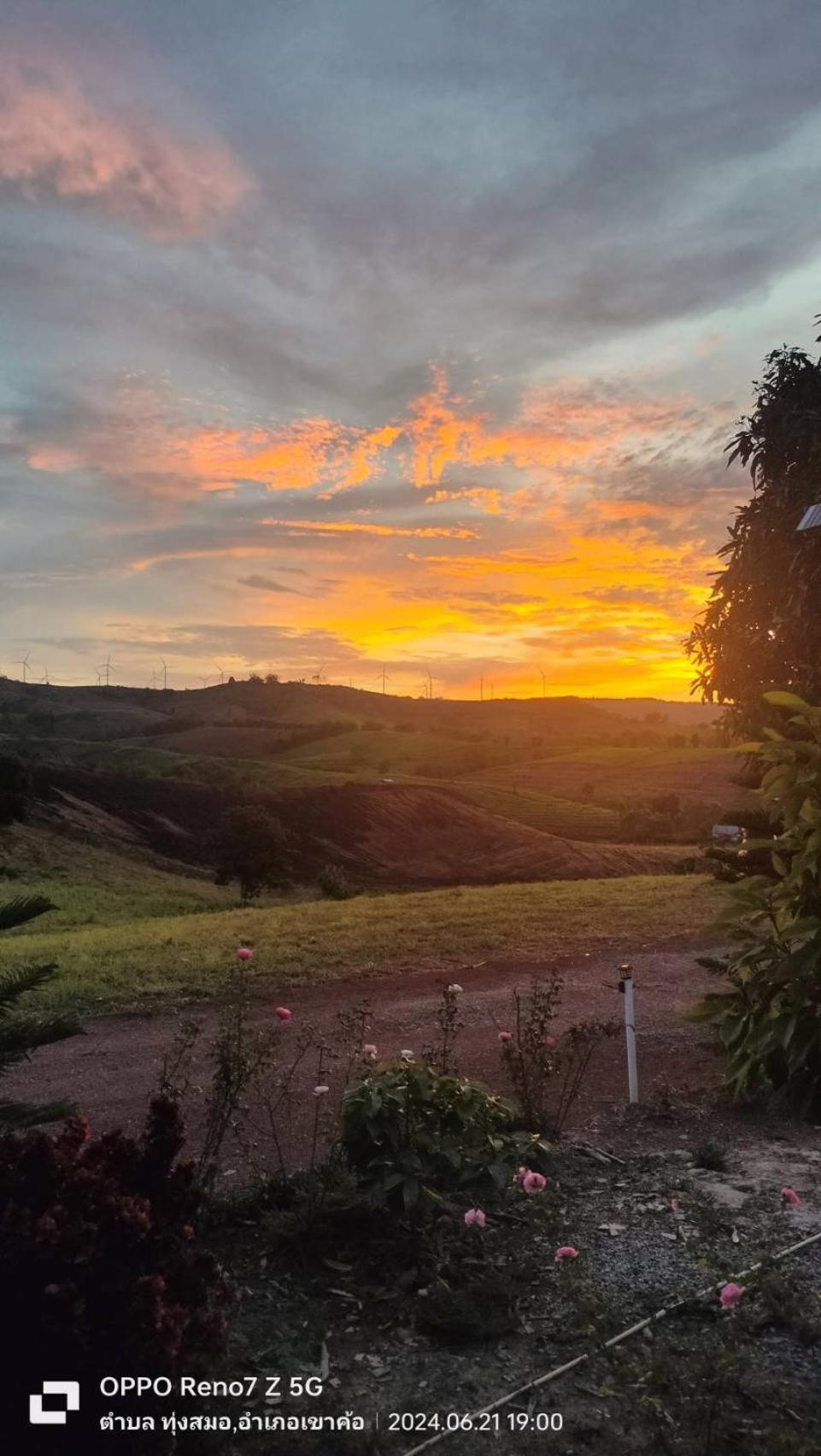 فندق Smile Farm At Khaokho Ban Thung Samo المظهر الخارجي الصورة