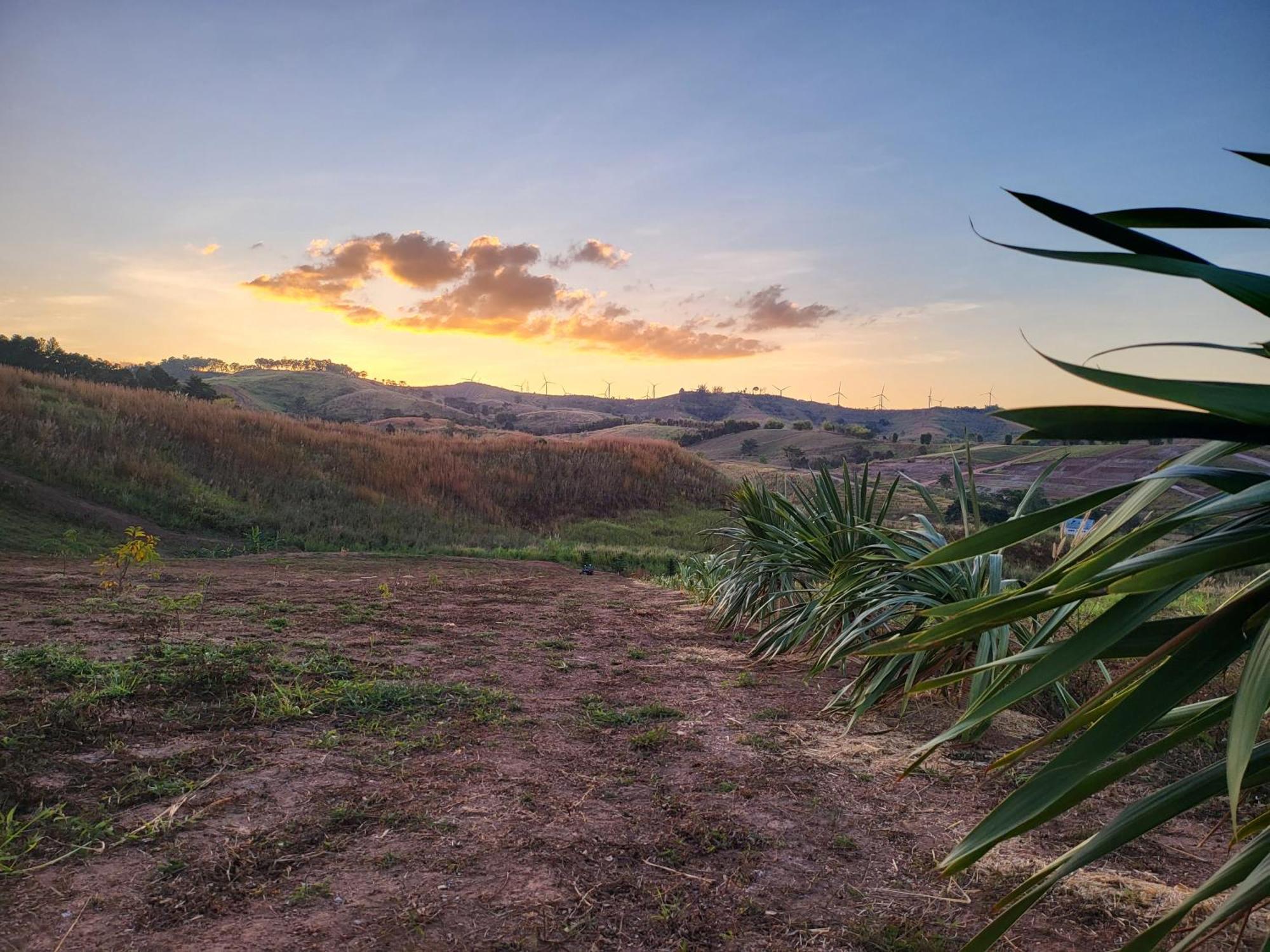 فندق Smile Farm At Khaokho Ban Thung Samo المظهر الخارجي الصورة