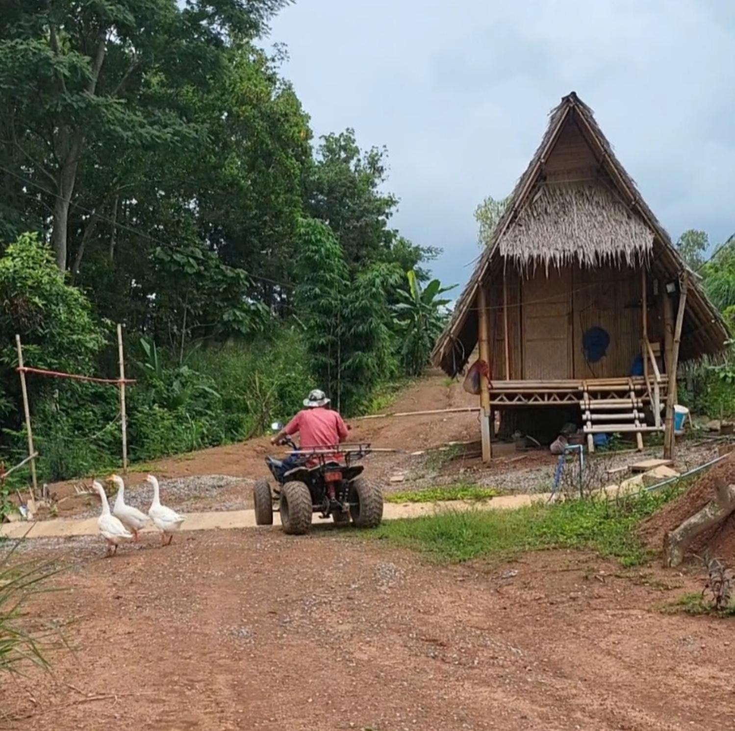 فندق Smile Farm At Khaokho Ban Thung Samo المظهر الخارجي الصورة