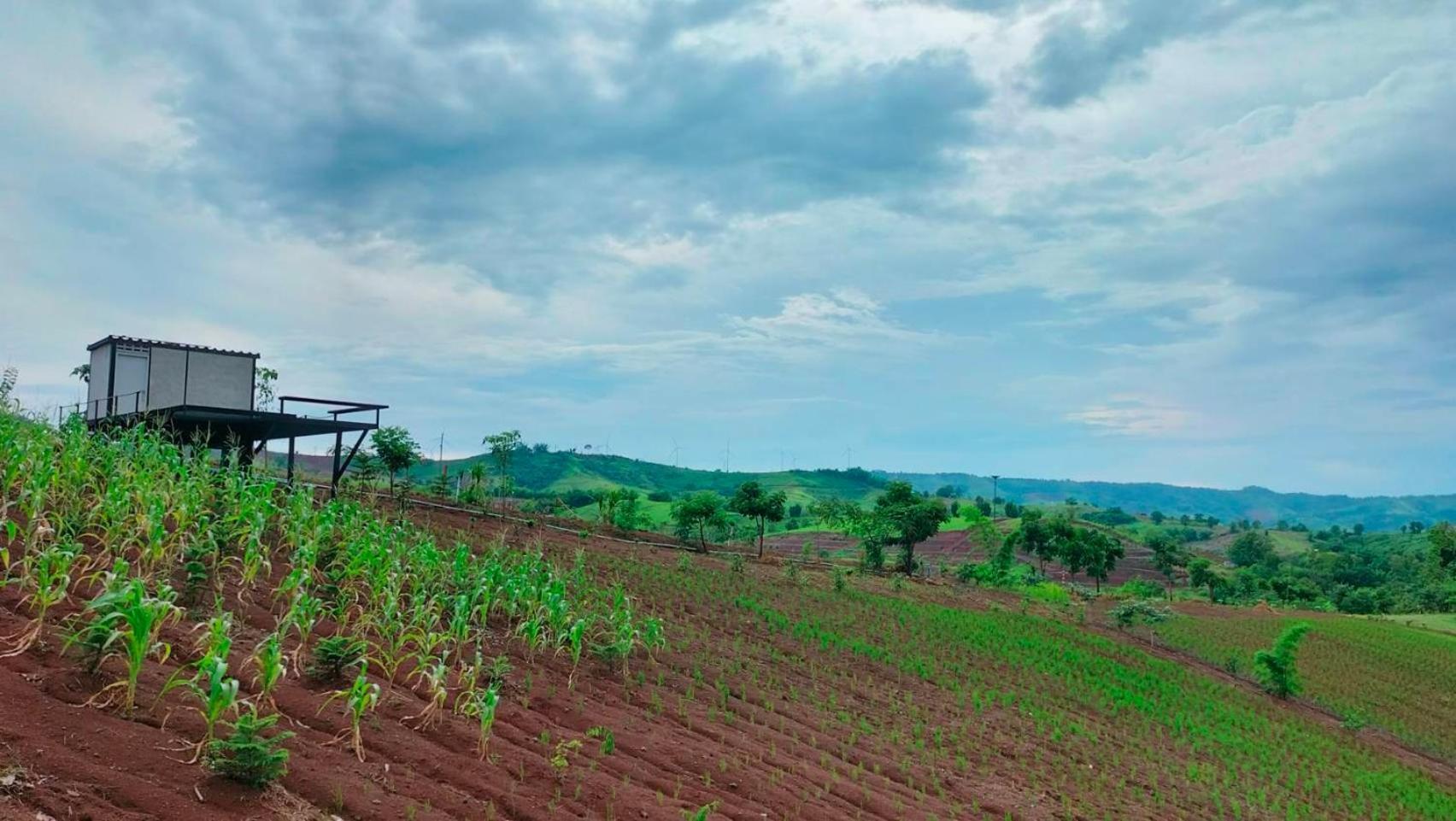 فندق Smile Farm At Khaokho Ban Thung Samo المظهر الخارجي الصورة